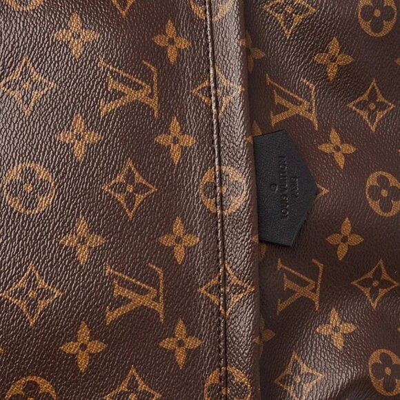 Louis Vuitton Monogram Canvas Palm Springs MM Backpack Bag - Picture 9 of 12